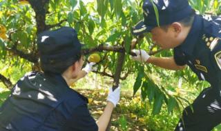 上海外贸人力资源有限公司好吗 上海注册外贸公司