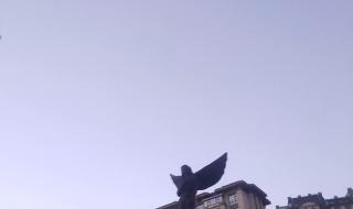 大庆最好的小区 大庆创业城最新消息