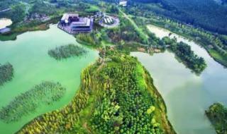 2021年白鹭湾湿地公园正式开放没 成都白鹭湾湿地公园