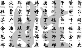 2022各省姓氏人口前十排名 中国姓氏人口数排名