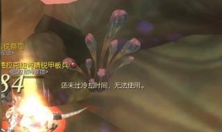 永恒之塔剑星如何PK 永恒之塔剑星武器