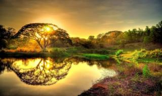 买一把普通的萨克斯配好点的笛头 萨克斯多少钱一把