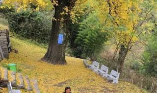 薛之谦四巡有哪些站 薛之谦衢州演唱会