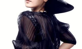 2010最具影响力十大歌手有哪些 凤凰传奇演唱会2010