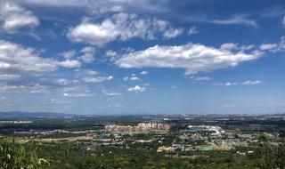 鹫峰国家森林公园有什么动物 鹫峰国家森林公园