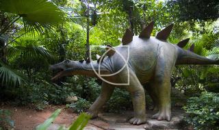 广东博物馆恐龙化石是真的吗 广东检出1例恐龙血