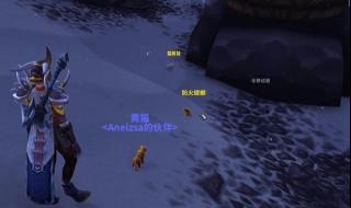 魔兽世界宠物升级攻略 魔兽世界宠物升级攻略