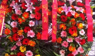 郑州市荷花开放时间 郑州高新区鲜花店