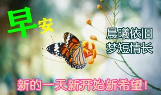 感恩图片2021新图片 感恩图片2021新图片