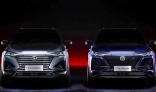 同比和环比各是什么意思 环比同比是什么意思