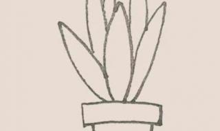 儿童画学什么内容 3-6岁儿童简笔画