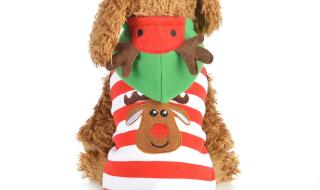 圣诞狗狗之圣诞小宝贝