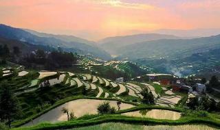 4月21号是什么节日 4月21号是什么节日