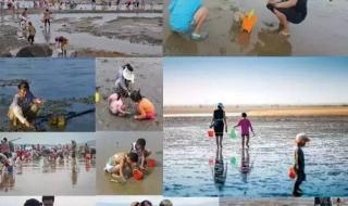 大连北下车旅游攻略 大连旅游攻略自由行