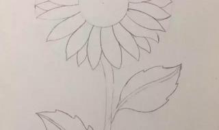 手绘入门基础教程 手绘入门基础教程